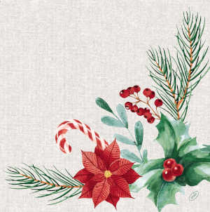 Dunisoft® 40cm Napkins - Seasonal Delight