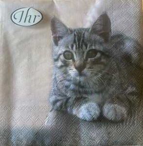 IHR 3ply 33cm Cuddly Cat luncheon Napkin. Triple-ply material offers convenience and durability. 20 Luncheon Napkins per Package 16.5 x 16.5 cm when closed, 33 x 33cm when open