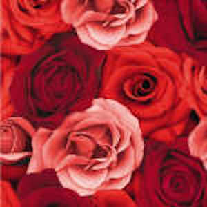 Duni 3ply 25cm Romance cocktail Napkin. Romance; rose design 3ply 25cm tissue (cocktail size) napkin/ serviette, designed by Duni.
