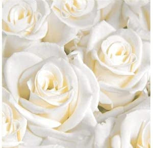 Duni 3ply 33cm White Dreams luncheon Napkin. White rose design.