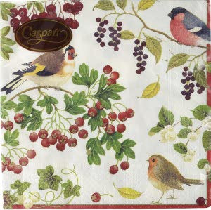Caspari 3ply 25cm Winter Birds Ivory Napkin. Triple-ply material offers convenience and durability. Printed in Germany using non-toxic, water-based inks. 20 Cocktail Napkins per Package 12.7 x 12.7 cm when closed, 25 x 25 cm when open