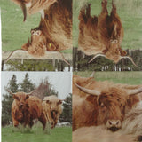 Highland Cow 3ply 33cm paper luncheon napkin.  Shows a different image on each quarter