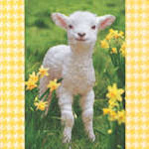 P+D 3ply 33cm Here I am Napkin. Here I am 3ply 33cm tissue (luncheon size) napkin/ serviette.  Spring Lamb design napkin.