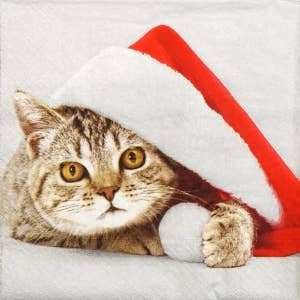 Paper + Design 3ply 33cm Santa Cat Napkin. Triple-ply material offers convenience and durability. 20 Luncheon Napkins per Package 16.5 x 16.5 cm when closed, 33 x 33cm when open