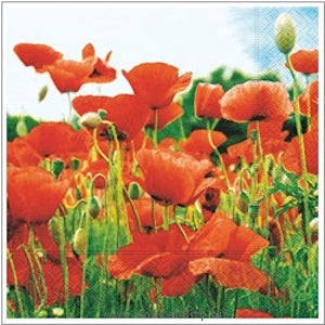 P+D 3ply 33cm Field of Poppies luncheon Napkin. The poppy field in vibrant red makes the warm summer air breeze across the set table.